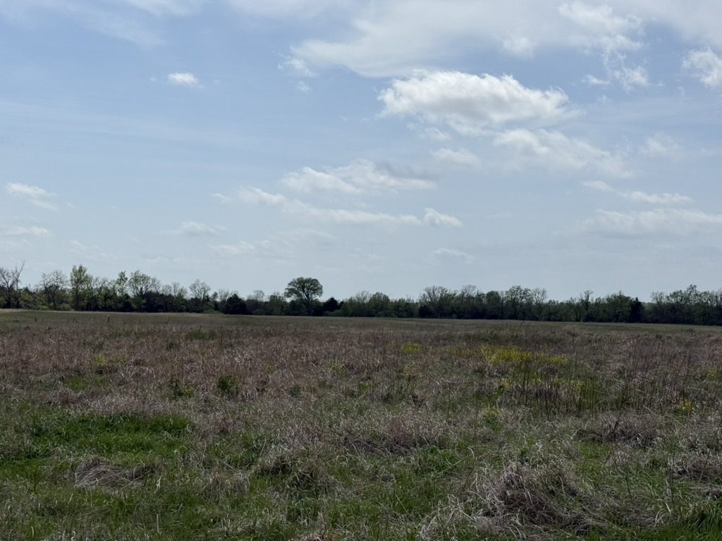 CRP native grass field fully cleared of brush, Prescott property — after clearing