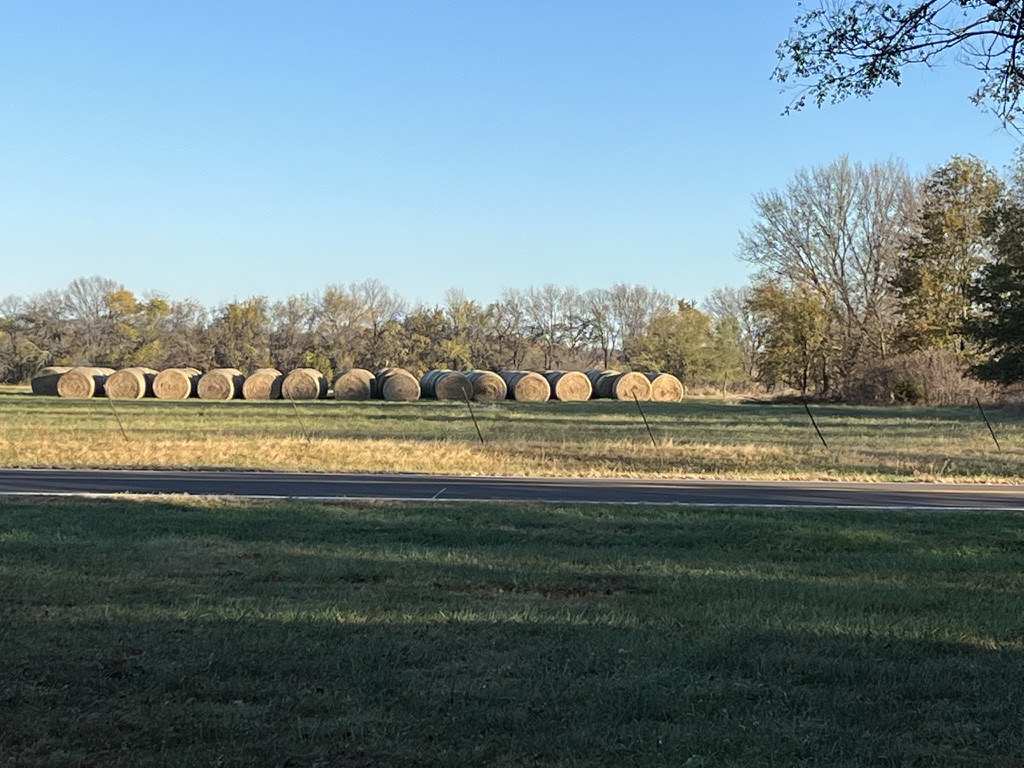 Round hay bales lined up along the field at High Linn Farms