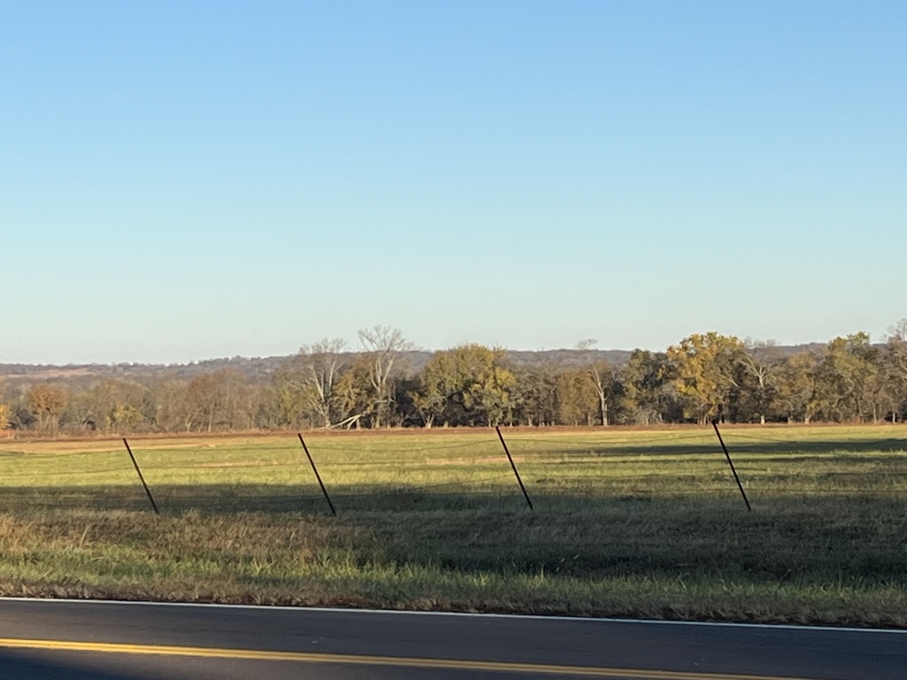 Fall field view from the road